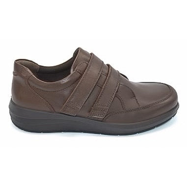 DB Shoes Jupiter EV 87167B Brown Shoes