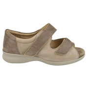 DB Shoes Bliss 2 Two Tone Taupe 2V 78218Z Shoes