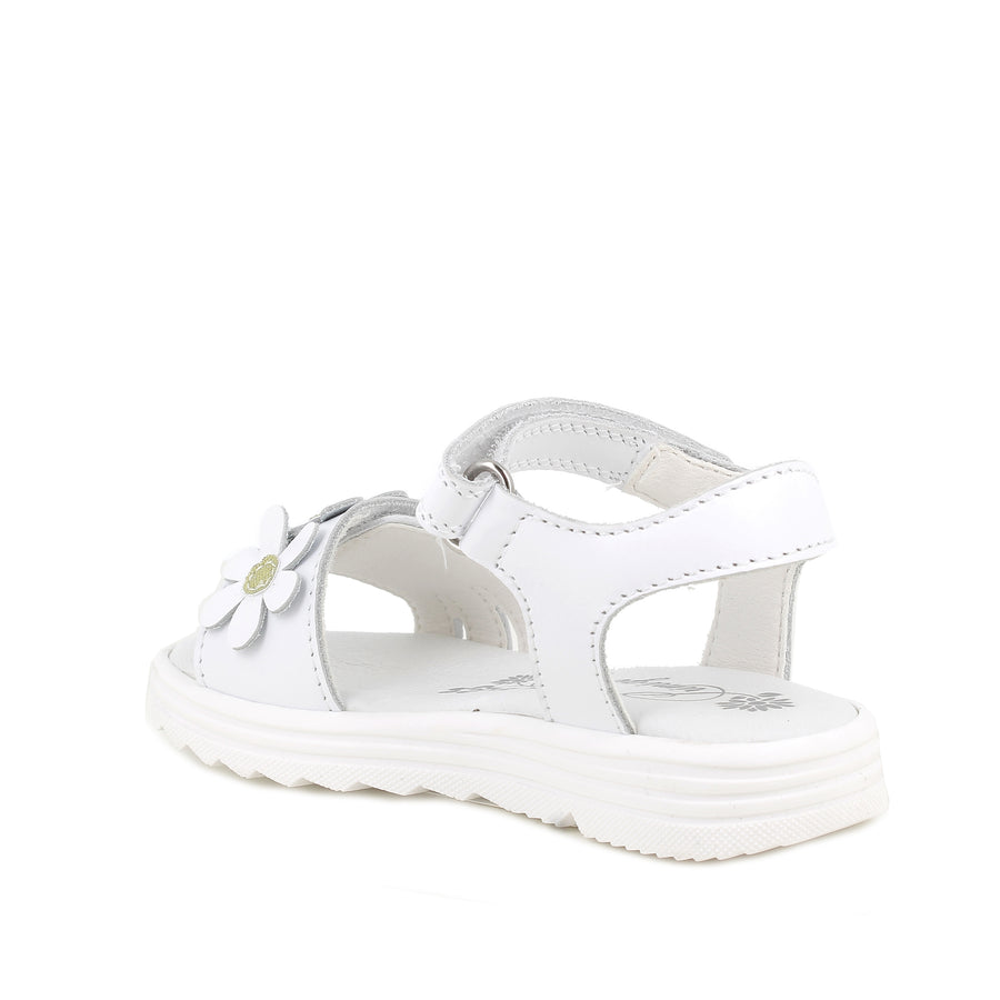 Primigi Girl Cute White Sandal 1417000