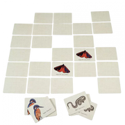 Rex Nature Trail Game 29617