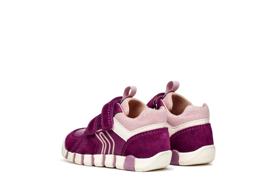 Geox B Iupidoo Girl B3558C 05422 Dk Purple / Rose Trainer